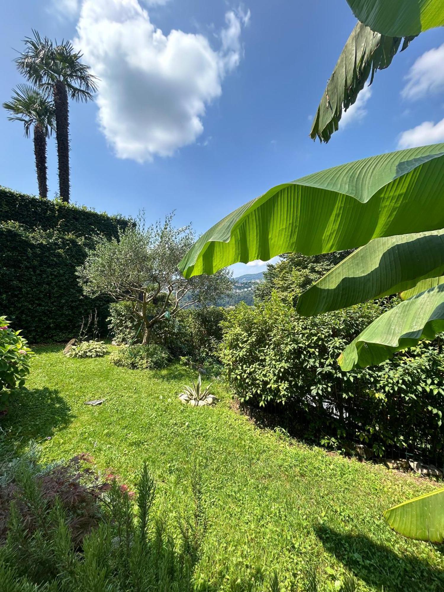 I Vallata Paradise I Free Parking - Garden&View - 10Minutes From لوغانو المظهر الخارجي الصورة